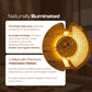 Eclipse Rattan Wall Lamp