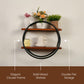 Walnut Aura Display Wall Rack
